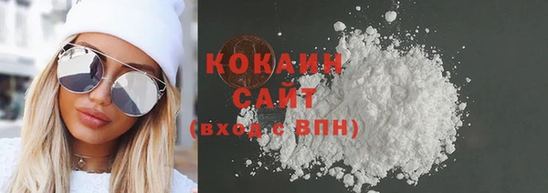 винт Абаза