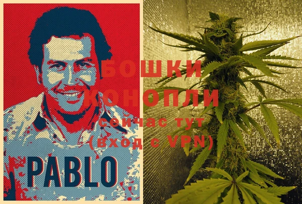 индика Кинешма