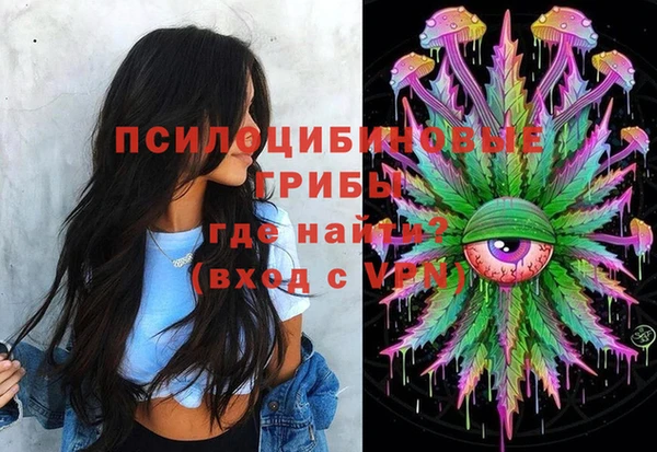 винт Абаза