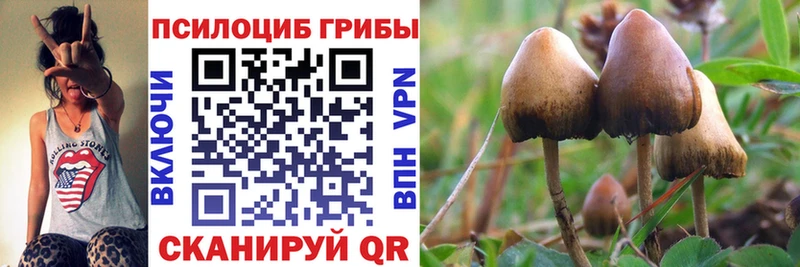 shop наркотические препараты  Абаза  Галлюциногенные грибы GOLDEN TEACHER 