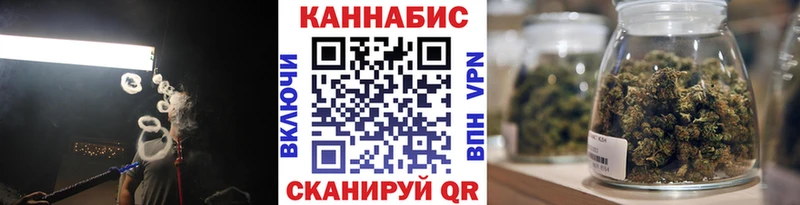 где найти наркотики  Абаза  Шишки марихуана сатива 